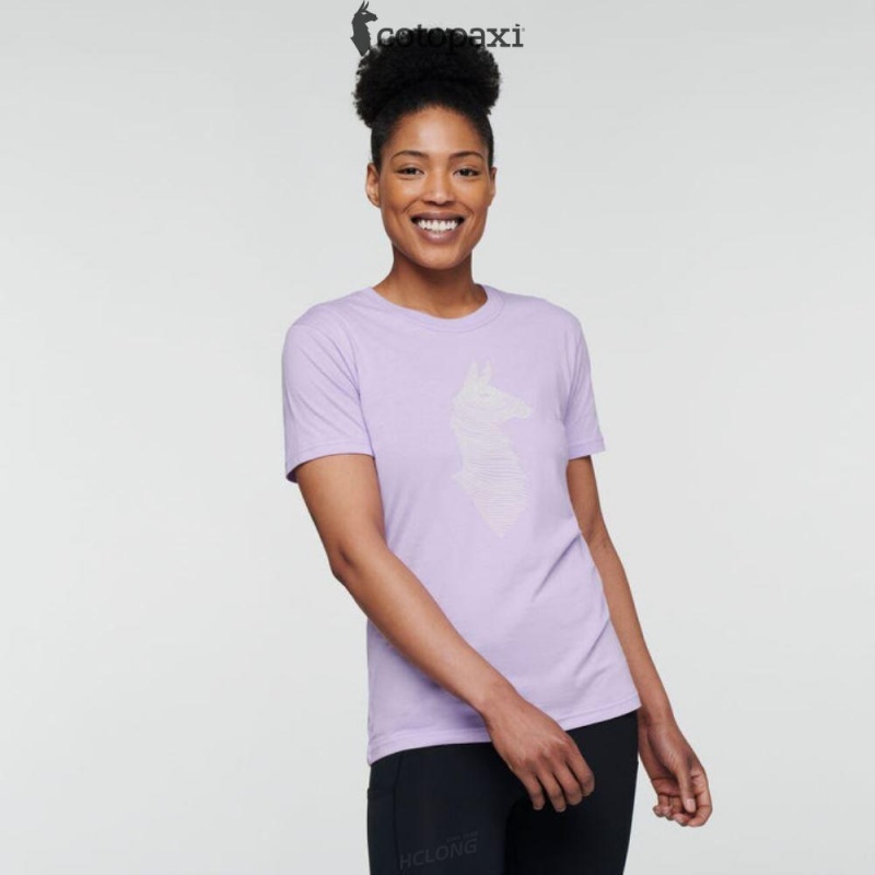 Cotopaxi Topo Llama T-Shirt Thistle | XX24-M5-FF