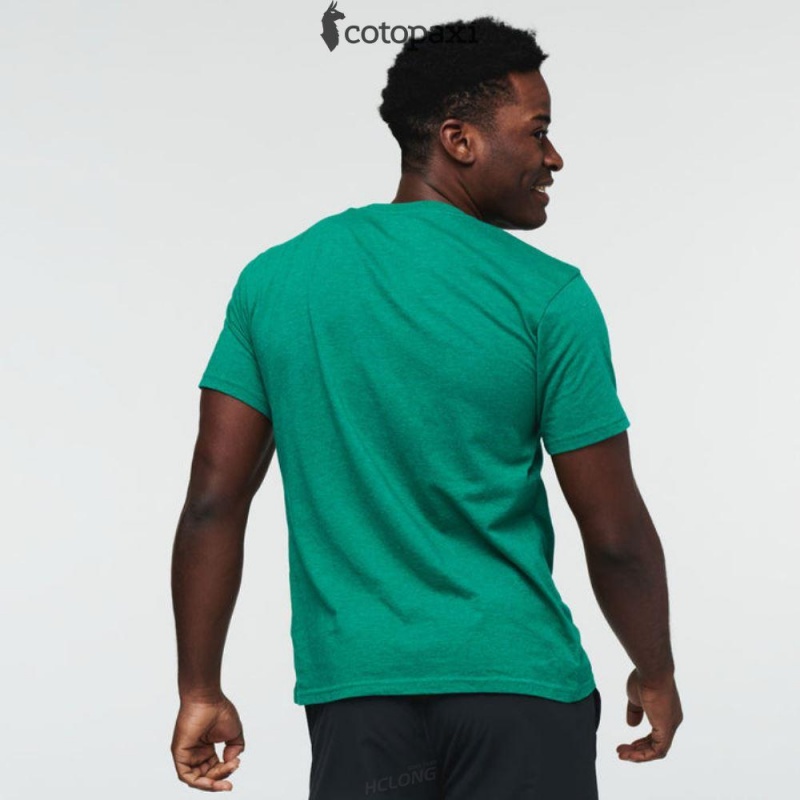 Cotopaxi Topo Llama T-Shirt Verde | YO87-W7-UZ