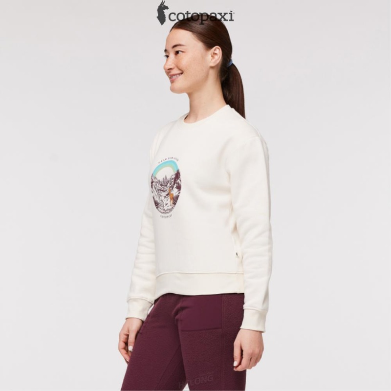 Cotopaxi Traveling Llama Crew Sweatshirt Bone | CC53-D7-UU