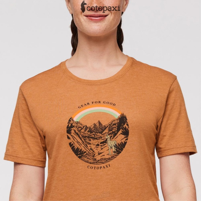 Cotopaxi Traveling Llama T-Shirt Saddle | BN37-K6-IR