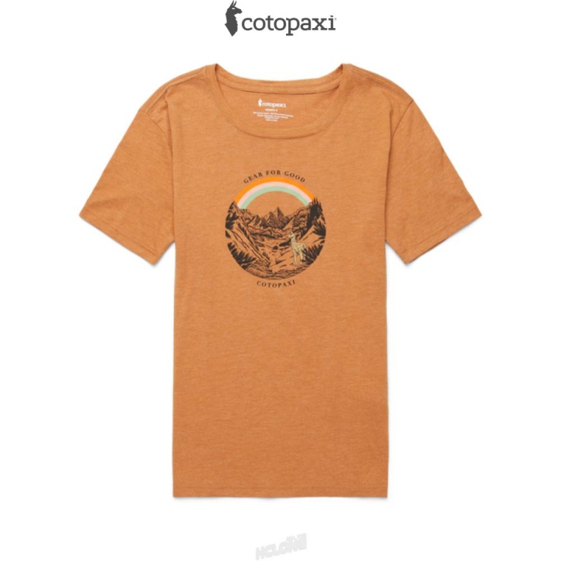 Cotopaxi Traveling Llama T-Shirt Saddle | BN37-K6-IR