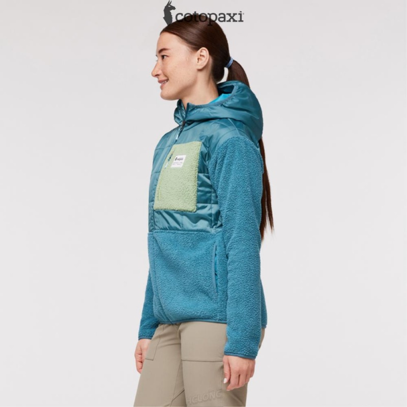 Cotopaxi Trico Hybrid Jacket Blue Spruce/Drizzle | QJ61-G9-LF