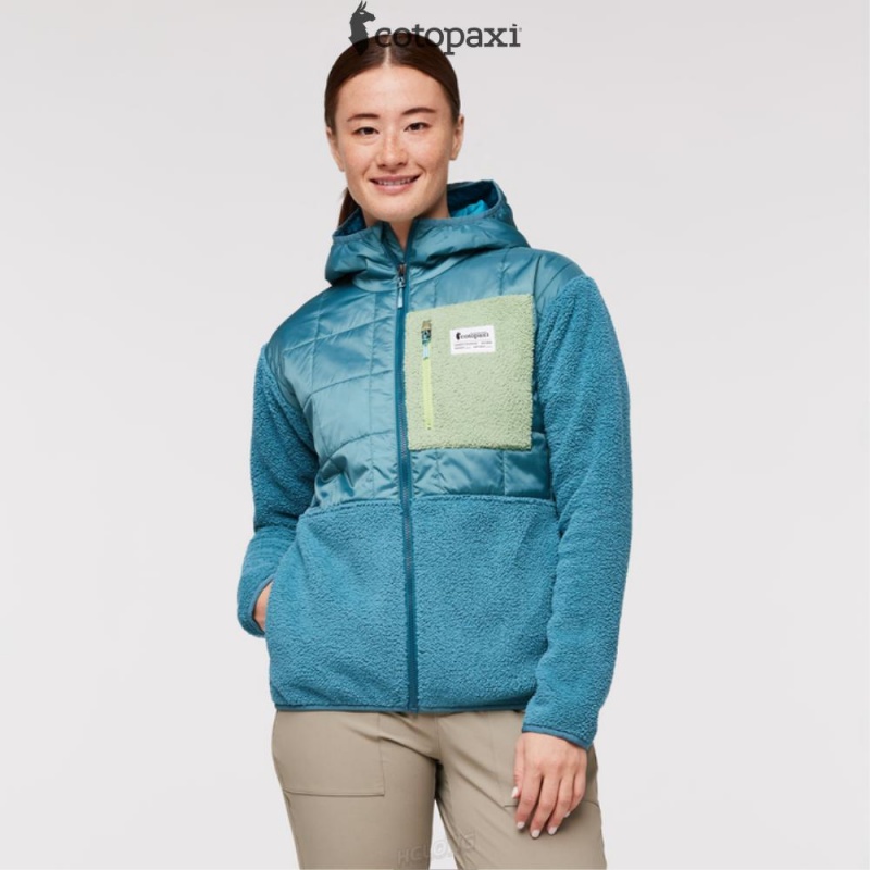 Cotopaxi Trico Hybrid Jacket Blue Spruce/Drizzle | QJ61-G9-LF