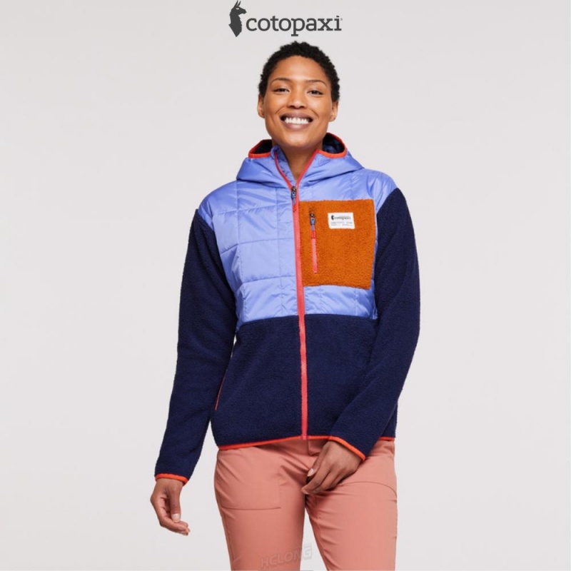 Cotopaxi Trico Hybrid Jacket Lupine/Maritime | LD16-S4-RH