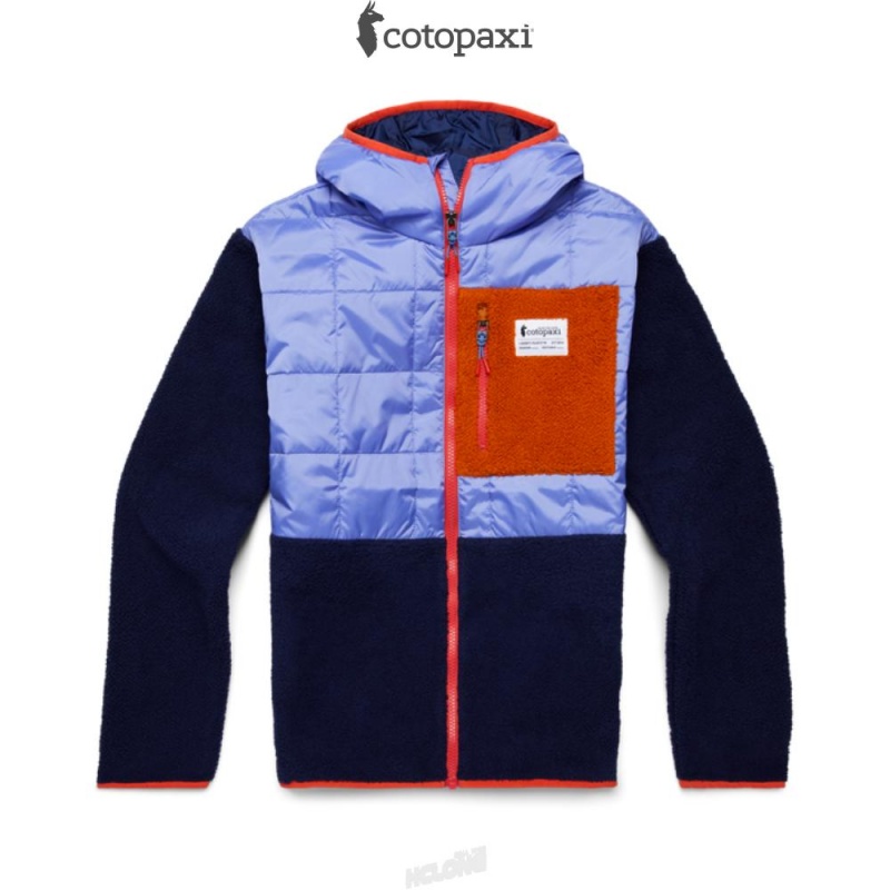 Cotopaxi Trico Hybrid Jacket Lupine/Maritime | NH99-D9-MZ