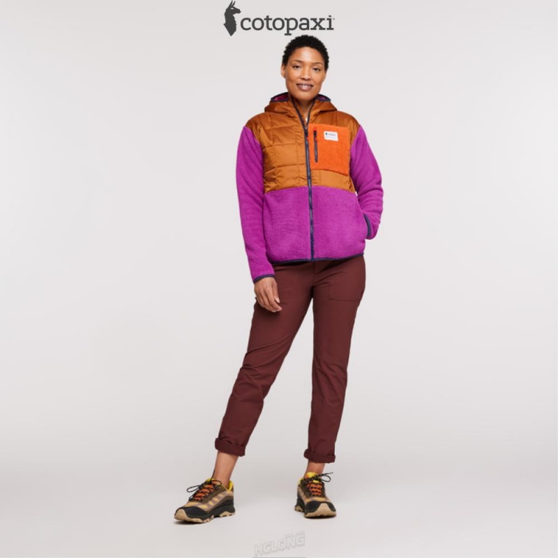 Cotopaxi Trico Hybrid Jacket Mezcal/Foxglove | IY46-A3-NG