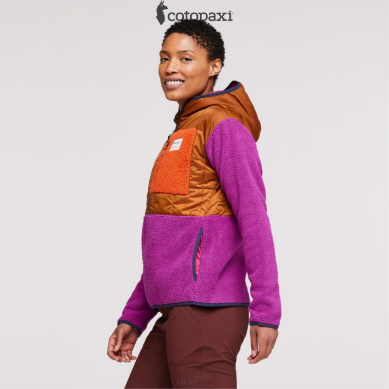 Cotopaxi Trico Hybrid Jacket Mezcal/Foxglove | IY46-A3-NG