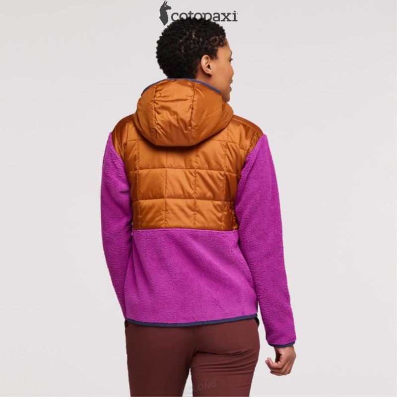 Cotopaxi Trico Hybrid Jacket Mezcal/Foxglove | IY46-A3-NG