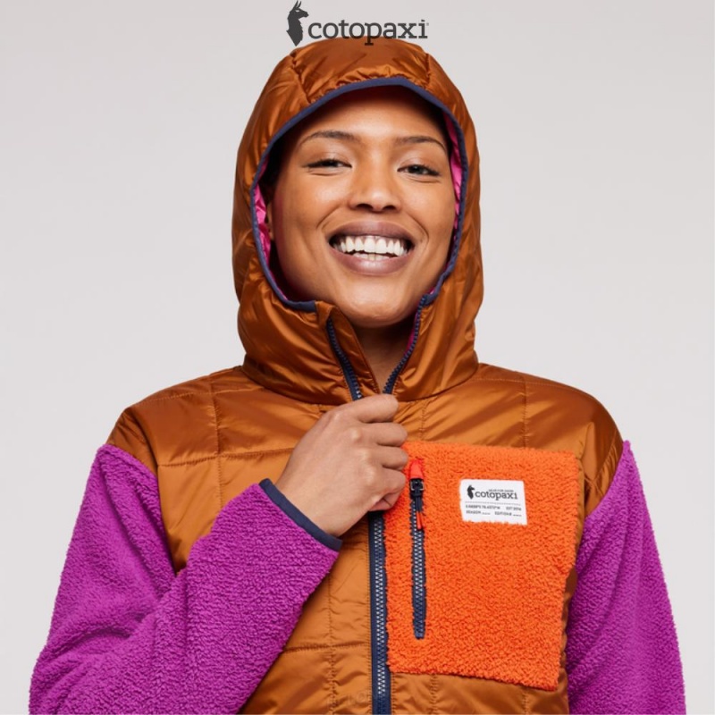 Cotopaxi Trico Hybrid Jacket Mezcal/Foxglove | IY46-A3-NG