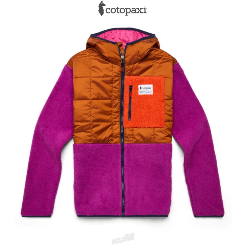 Cotopaxi Trico Hybrid Jacket Mezcal/Foxglove | IY46-A3-NG