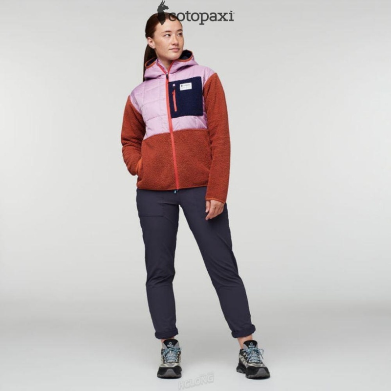 Cotopaxi Trico Hybrid Jacket Thistle/Spice | ZU96-X6-YU