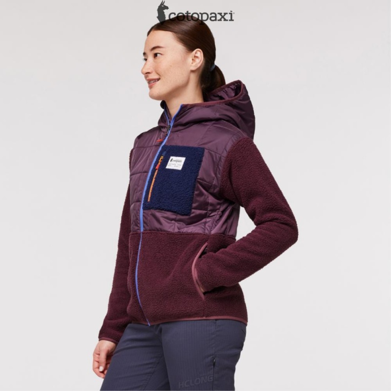 Cotopaxi Trico Hybrid Jacket Wine | GR00-J4-UI