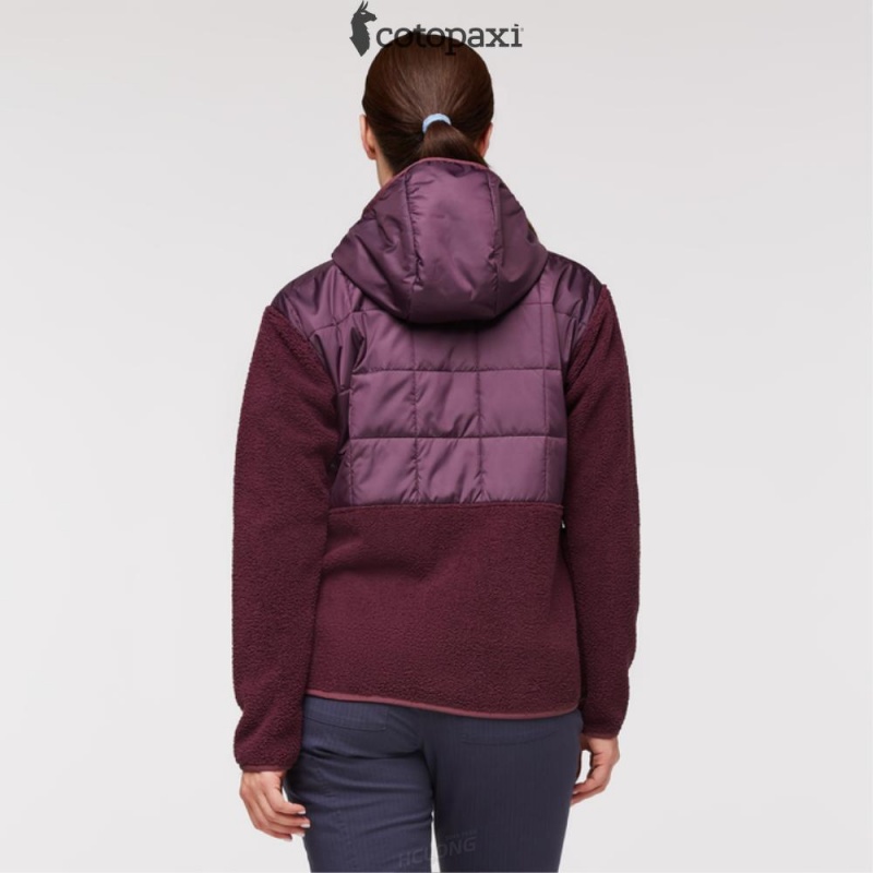 Cotopaxi Trico Hybrid Jacket Wine | GR00-J4-UI