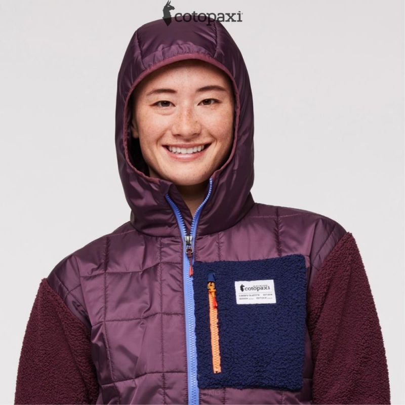 Cotopaxi Trico Hybrid Jacket Wine | GR00-J4-UI