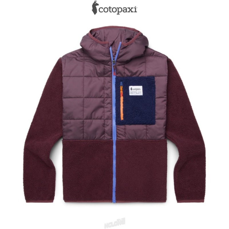 Cotopaxi Trico Hybrid Jacket Wine | GR00-J4-UI