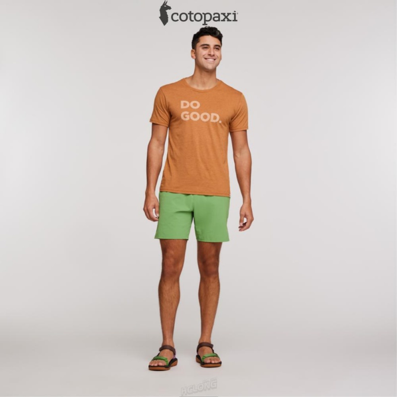 Cotopaxi Valle Active Short Kelp | UP06-Y6-HG