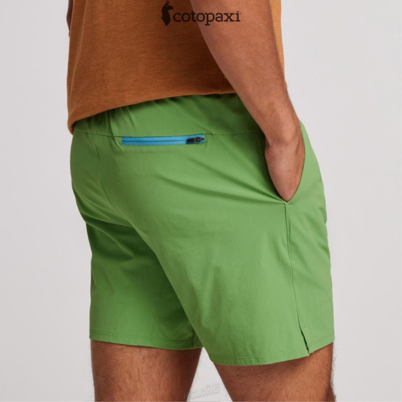 Cotopaxi Valle Active Short Kelp | UP06-Y6-HG