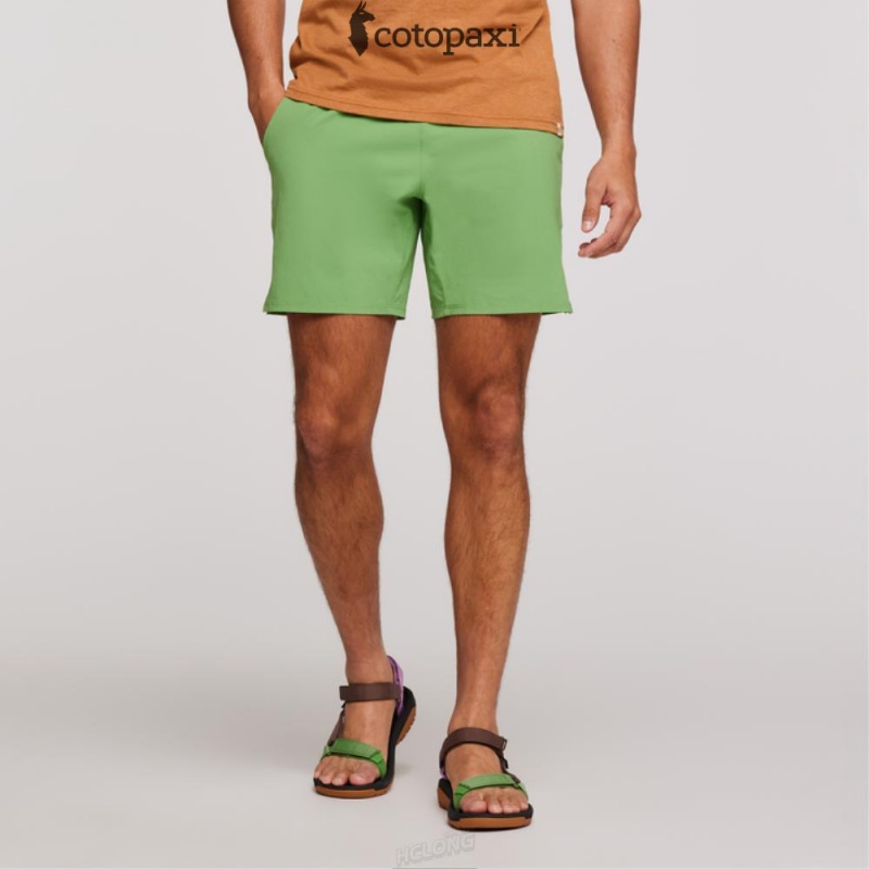 Cotopaxi Valle Active Short Kelp | UP06-Y6-HG