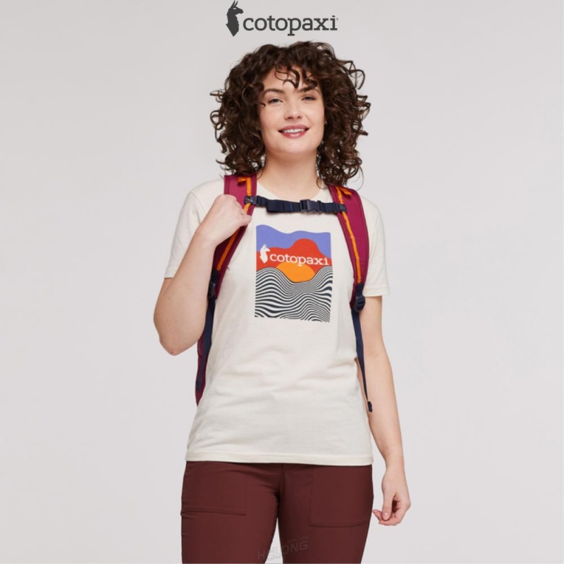 Cotopaxi Vaya 18L Backpack - Cada Día Raspberry | IE74-P6-UC