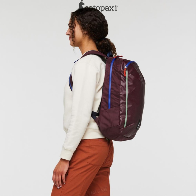 Cotopaxi Vaya 18L Backpack - Cada Día Wine | ET34-P7-BB