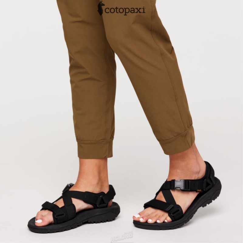 Cotopaxi Veza Adventure Jogger Oak | TR72-J2-SE