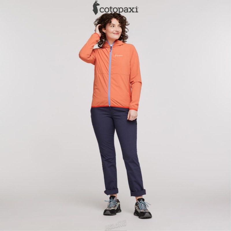 Cotopaxi Vuelta Performance Windbreaker Jacket Nectar | NV91-B5-XH